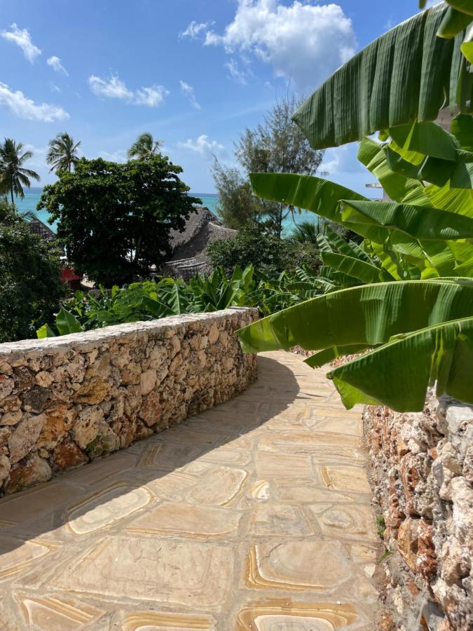 Oceanview Manzini With Private Pool Zanzibarhouses Willa